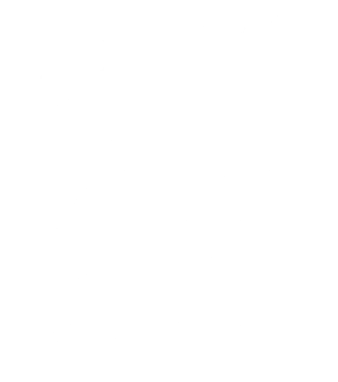 Into The Cage
